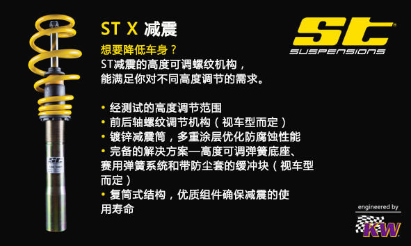 ST X.jpg
