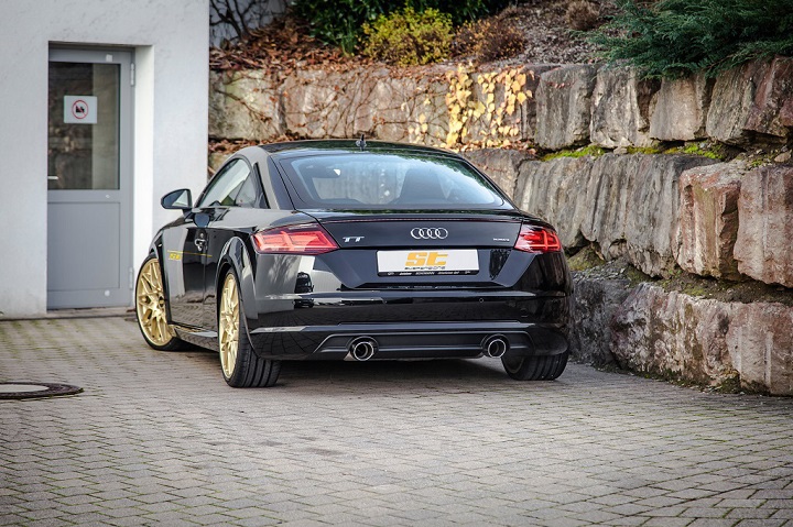 low_Audi_TT_8J_ST_XTA_Gewindefahrwerk_Heckansicht.jpg